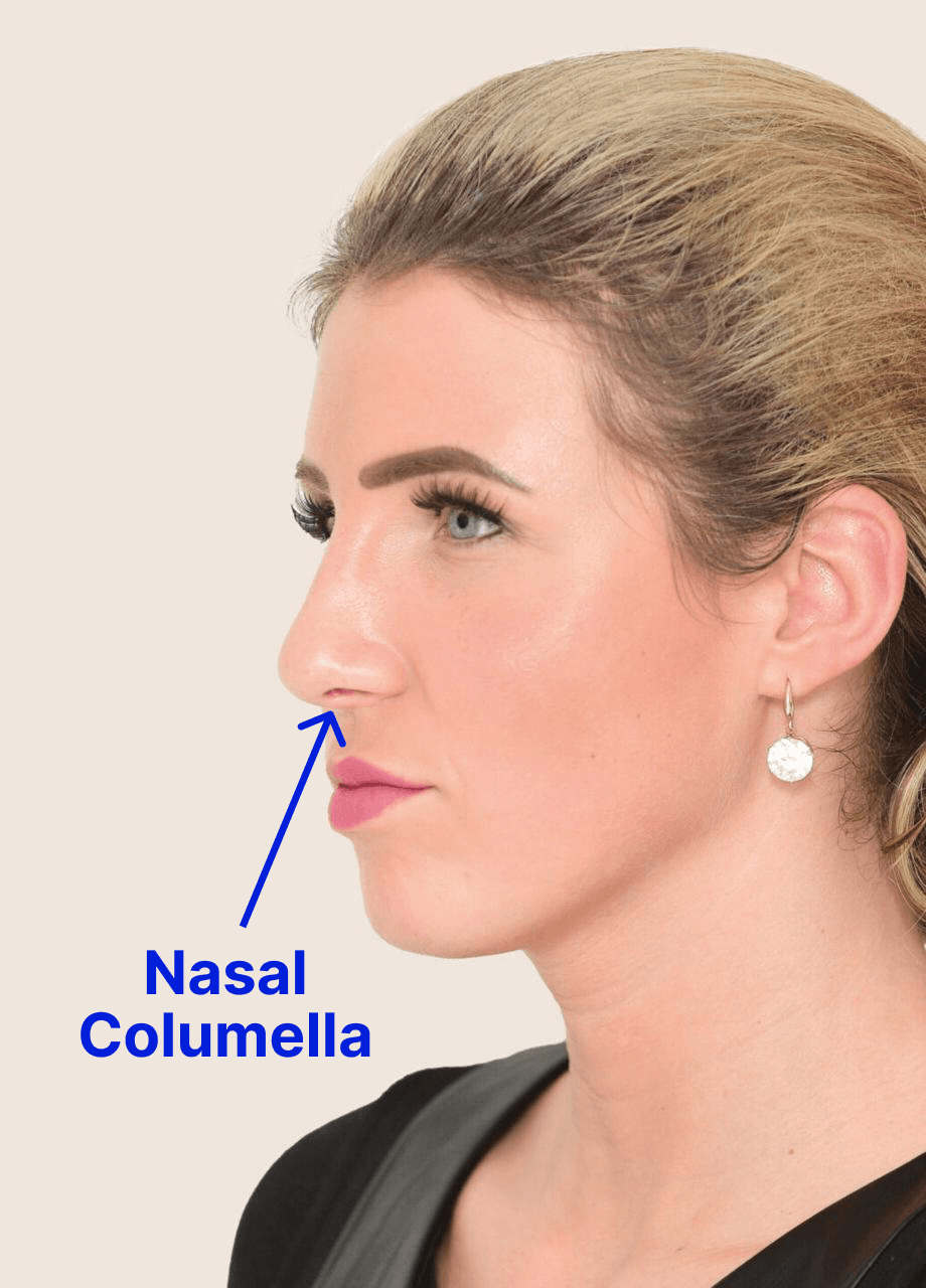 side profile of a young woman indicating where the nasal columella is located
